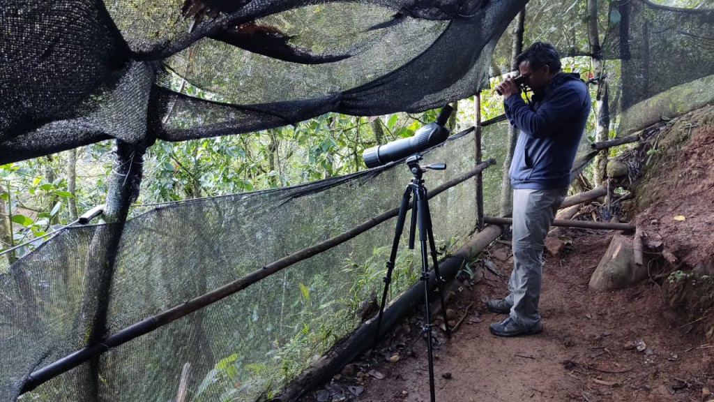 ecuador birds tour