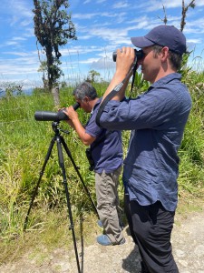 ecuador birds tours